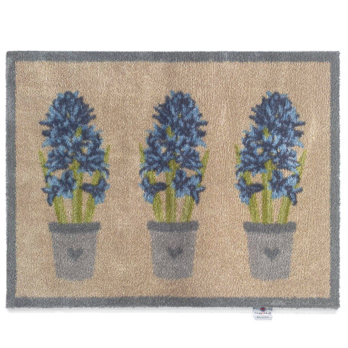 HR Hyacinth 1