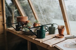 HW Vannkanne - "Indoor" 1l (Watering Can - 1 Litre Indoor) with rose