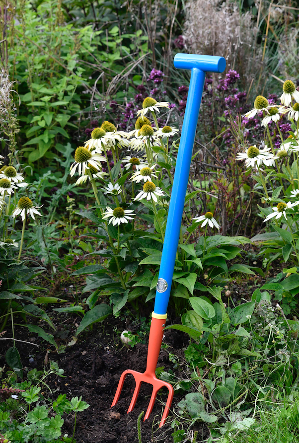 National Trust Childrens Fork