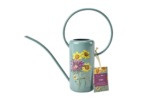 Asters innendørs vannkanne