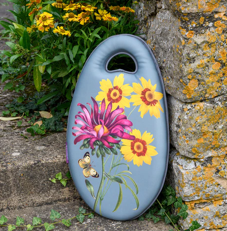 Asters: Kneelo