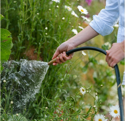 CC Beautiful Garden Hose