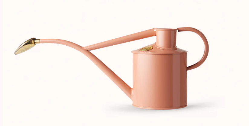 HW Vannkanne - "Indoor" 1l (Watering Can - 1 Litre Indoor) with rose