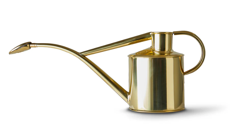HW Vannkanne - "Indoor" 1l (Watering Can - 1 Litre Indoor) with rose