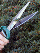 Staudeklipper (Shrub shear)