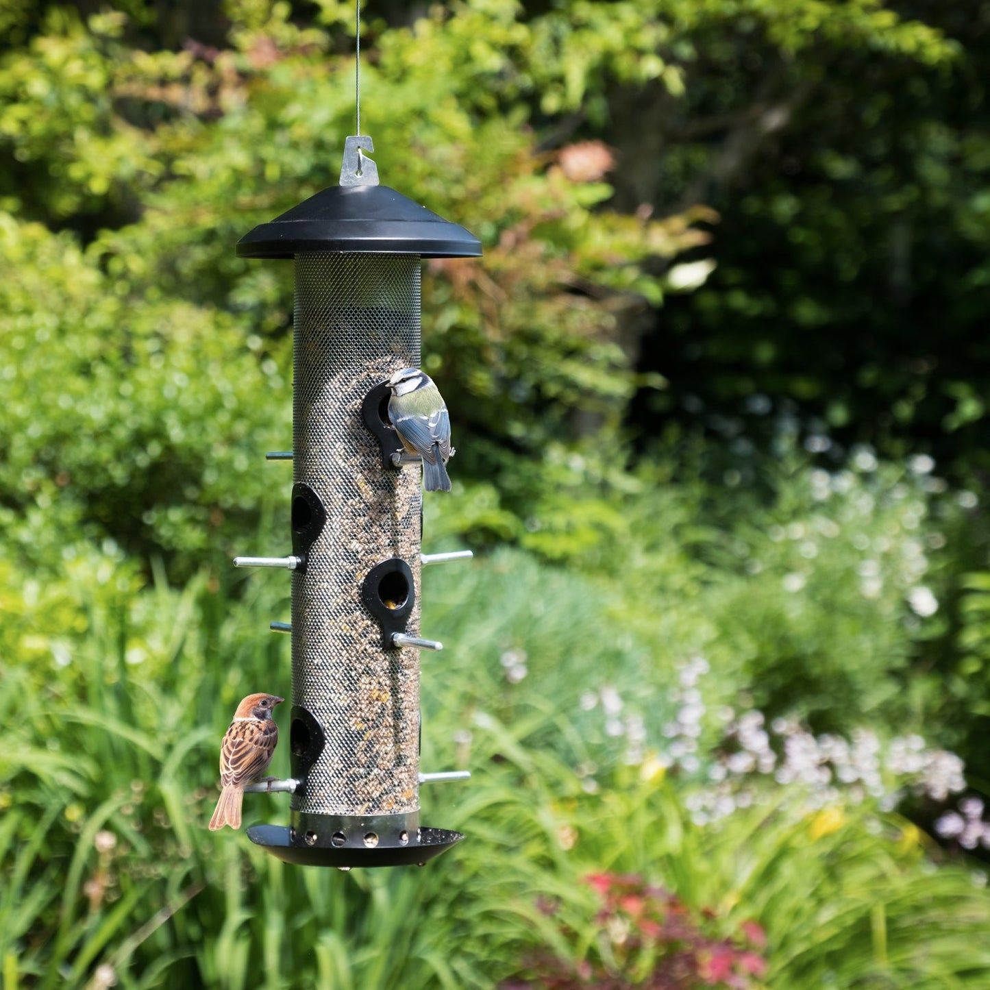 WW Fuglemater  (Bird feeder)