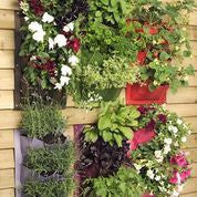 Vertiplant®6 (Vertical salad & herb planter)